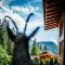Chalet in Tyrol near ski-area - Waidring