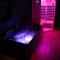Love Room AMeuse&Vous