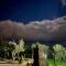 Trulli delle succulente