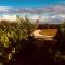 Le Clos Rabelais - 朗热