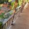 Berry homestay 1