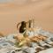Aurum Dunes Luxury Camp - Merzouga