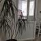 AMBER Studio - Craiova