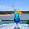 Blue Lagoon Hotel and Conference Centre