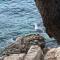 Bandol A Bandol cha cha cha - Appartement - 邦多勒
