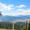 Snowfire 308A
