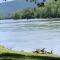 Bear Valley - Riverfront, Starlink WiFi & Hot Tub