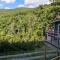 Red Roof mountain cabin with Starlink internet! - Stanley