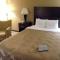 Quality Inn DFW Airport North - Irving