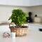 WealthyStays 2BR Retreat , 5Min Walk to Beach