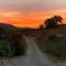 Agriturismo Podere Tegline