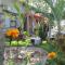 Shalakwe Hills-Inn Guesthouse Kasane