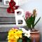 B&B Kalimera Pratteln