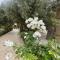 Riad le Jasmin - Taroudant