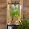 Riad le Jasmin - Taroudant