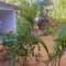 Le jardin de Adja