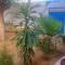 Le jardin de Adja