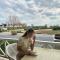 Relaxing apartaments near the sea