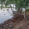 Emufuleni river logde
