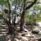 Quinta das Cantigas by Book YourHoliday PT