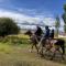 KyzArt Hotel & Horse Tours