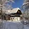 Dachstein Chalet Goisern - 巴德哥依斯恩