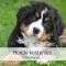 Am Feldrain - Urlaub mit Hund im Weserbergland
