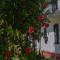 Hansaj Resort - 希克杜沃