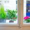 Le Studio Flore