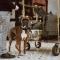 Hotel Indigo Nashville - The Countrypolitan