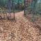 Zen-Designed Guest Suite with PRIVATE 2-mile Trail Loop