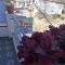 SHREE HOME STAY