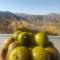 Casa Puclaro, terraza panorámica Valle del Elqui