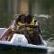 Paradise Stream Resort - Cresco