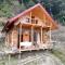 The Latoda forest edge duplex cottage in jibhi - Jibhi