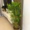 Primavera Cozy Penthouse 2 bedroom with huge swimming pool and gym - 卡加盐德奥罗