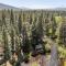 Metolius Cabin 12