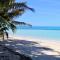 椰子海滩度假村 - Tavewa