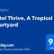 Hotel Thrive, A Tropical Courtyard