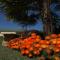 Milawa Muscat Retreat B&B