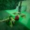 Love spa apartman