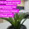 Apartman LENI2 u centru Zajecara