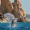 Mesmerizing Ocean Views King Beds Luxury Family Friendly - Cabo San Lucas