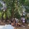 Chill House safari resort