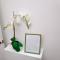 Cosy & Stylish 2 Bed Ground Floor Flat in Dartford - Dartford