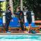 Blue Star Dive and Resort