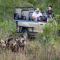 Leopard Hills Private Game Reserve