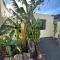 Cozy Canarian guesthouse with large garden - Teguise