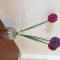 Apartamento Rosendo