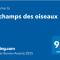 "Le champs" des oiseaux